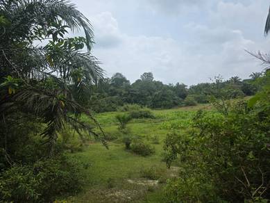 Agricultural Land in Tanjong Tualang, PRK