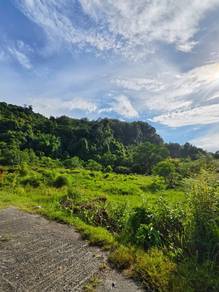 Agricultural Land in Langkawi, KDH