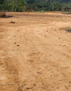 Others Land in Papar, SBH