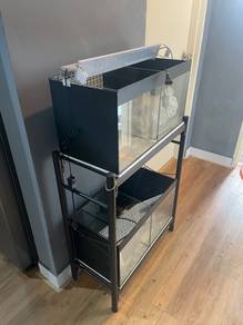 aquarium 2 kaki