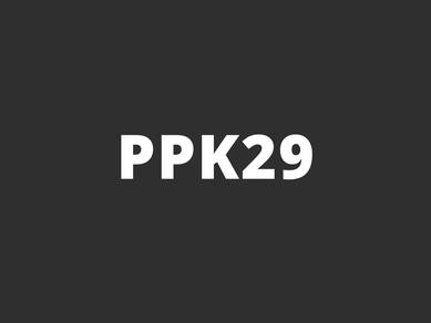 PPK29