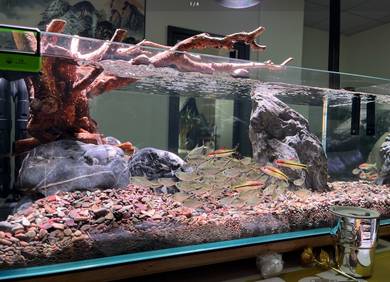5ft 150cm Ultra Crystal Clear Aquarium Tank 98%