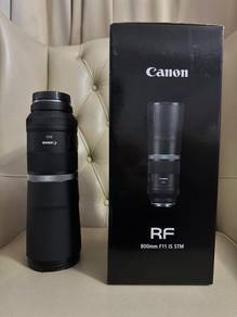 Canon RF800mm Tip top birding