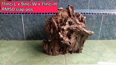aquascape driftwood kayu hiasan aquarium