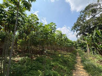 Agricultural Land in Skudai, JHR