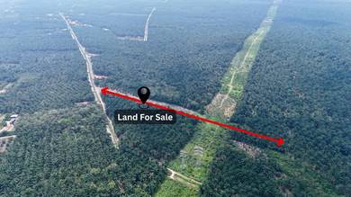 Agricultural Land in Muar, JHR