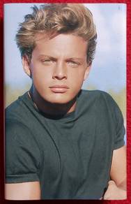 Luis Miguel 20 ANOS Cassette Tape