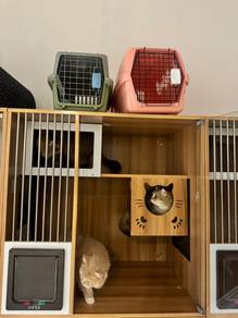 sangkat kucing/Cage