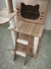 Rumah Kucing 