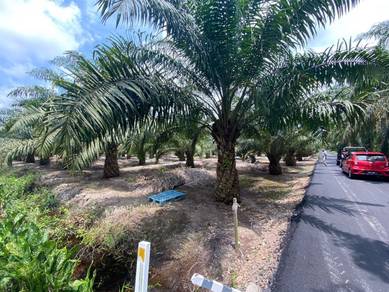 Agricultural Land in Mersing, JHR