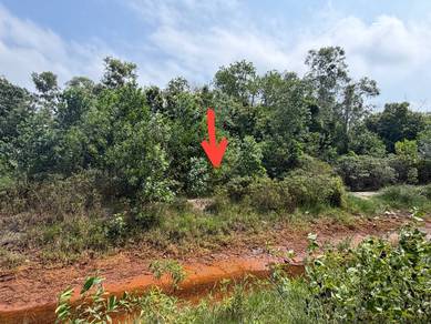 Residential Land in Paka, TRG