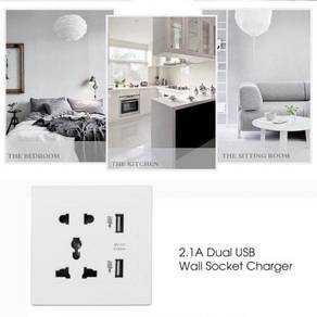 Global Plug Panel Socket with 2 USB Ports