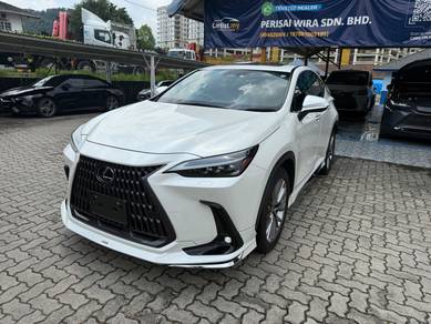 2022 Lexus NX 250 LUXURY