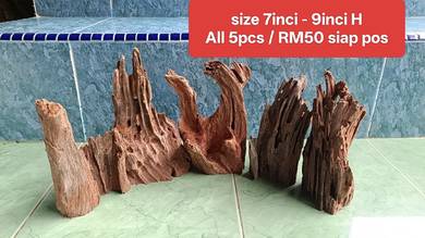 Pelbagai driftwood kayu aquascape KOMBO JIMAT 
