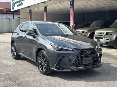 Lexus NX 250 LUXURY in Jalan Ipoh, KUL