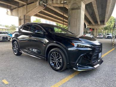 Lexus NX 250 BASE GRADE in City Centre, KUL