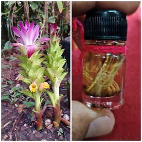 Nam man saneah raka sai khao
