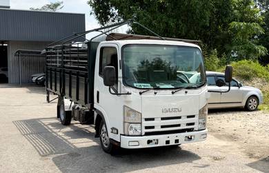 Isuzu NPR New Model with Cargo