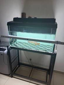 3 feet Aquarium with mgbb arowana
