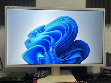 Used 21 inchPrinceton Prolite Monitor