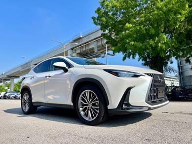 Lexus NX 250 LUXURY in Bangsar, KUL