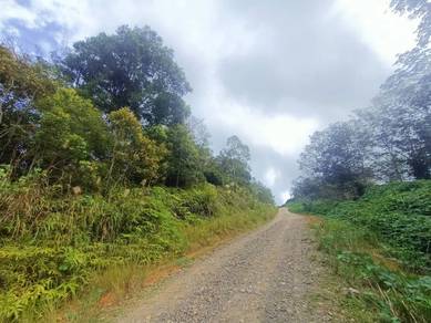 Agricultural Land in Ranau, SBH