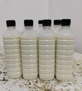 SUSU Kambing Original/Asli