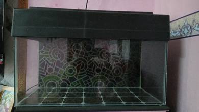 aquarium 2ft