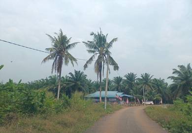 Agricultural Land in Segamat, JHR
