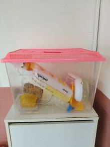 Sangkar Hamster dan Accessories