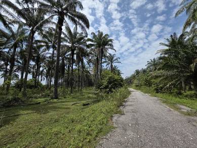 Agricultural Land in Ipoh, PRK