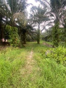 Others For Sale in Chenderong Balai,PRK