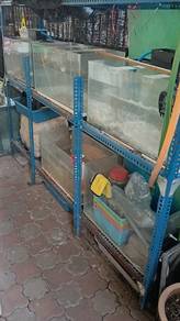 Aquarium Untuk Dilepaskan 