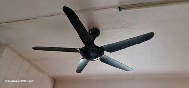 Functional ceiling fan