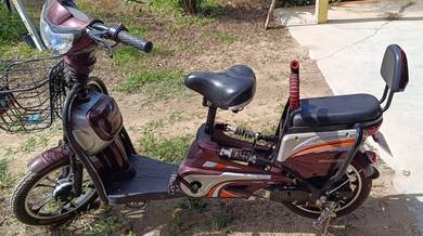 BASIKAL ELEKTRIK / E-BIKE / Electric Bicycle