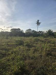 Agricultural Land in Labu, NSN