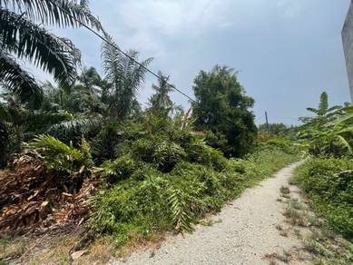 Agricultural Land in Tanjong Karang, SGR