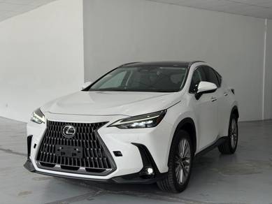 2022 Lexus NX 250 LUXURY