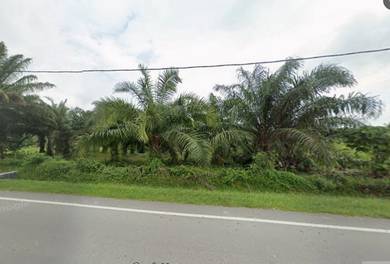 Agricultural Land in Jasin, MLK