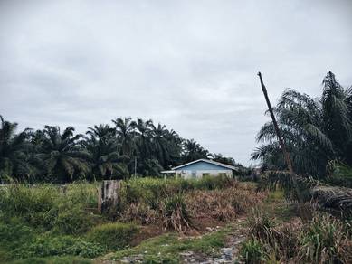 Agricultural Land in Kuala Langat, SGR
