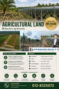 Agricultural Land in Kota Kinabalu, SBH