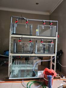 Aquarium system for letgo