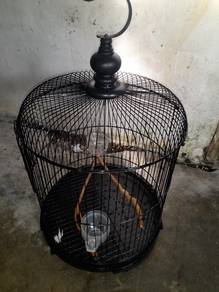 sangkar burung 