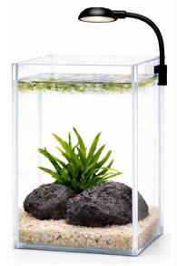 Mini Aquarium Betta (Complete Set) 