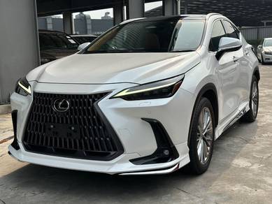 2022 Lexus NX 250 LUXURY