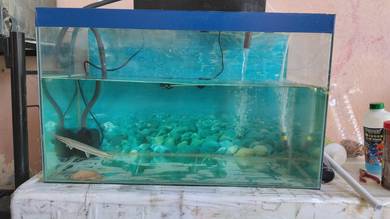 Aquarium