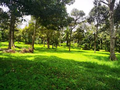 Agricultural Land in Kupang, KDH