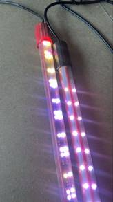 Super Red Aladin Led