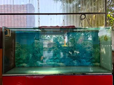 6 Feet aquarium let go