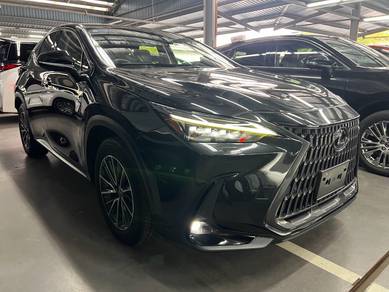 Lexus NX 250 BASE GRADE in Petaling Jaya, SGR
